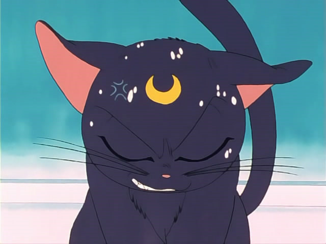 【动漫界十大名宠】你最爱哪一个? - - 上海中医